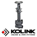 Forged Steel Gate Valve, Various Type